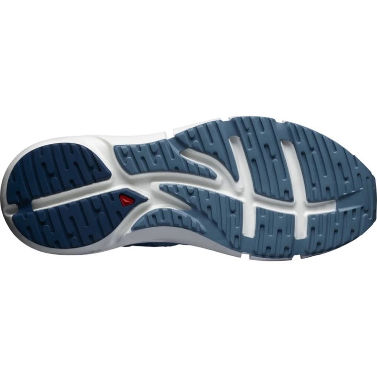 Salomon Predict 2 Men's Running Shoes Blue | CA 30L69